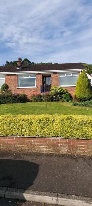 Bellevue Bungalow - Comfortable Home With Amazing Views Belfast Exterior foto
